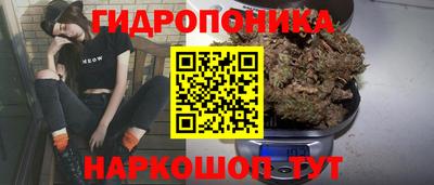 МДПВ Донской